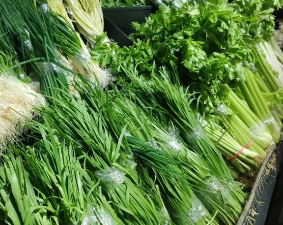 天津上半年蔬菜产量增长9％ 产量最高的是叶菜类