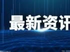 金银箔粉毫无营养奢靡之风 “镀金食品”为何屡禁不止